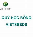 Em Sẽ Được Hỗ Trợ Những Gì Nếu Được Nhận Học Bổng Vietseeds Là Gì