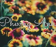 Phương Anh Có Ý Nghĩa Gì