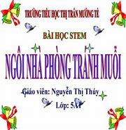 Stem Ngôi Nhà Phòng Tránh Muỗi