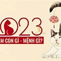 Tuổi Quý Mão 2023 Mệnh Gì